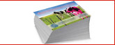 Chester County, PA printing posters, brochures, posters, business cards printing banner2d