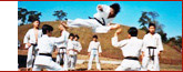 New Jersey boys and girls martial arts and karate school banner2d