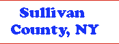 Sullivan County dumpster rentals, garbage dumpsters, waste roll off trash services banner2b